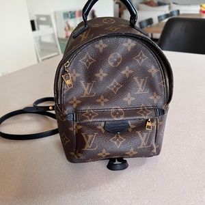Louis Vuitton Palm Springs Mini Backpack